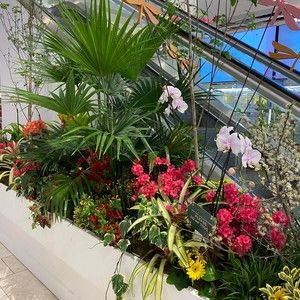 Meet your Posher, Terri